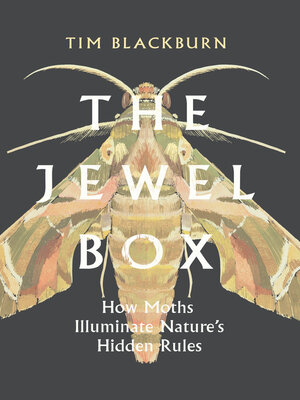 cover image of The Jewel Box